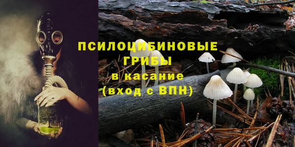 винт Белокуриха