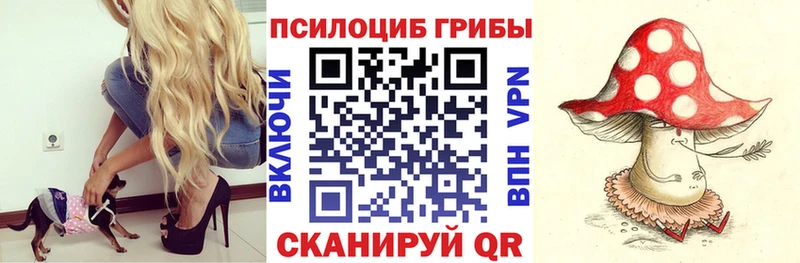 Псилоцибиновые грибы Magic Shrooms  где продают   Туймазы 